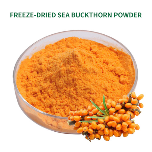 Freeze-Dried Whole Fruit Freeze Dried Sea Buckthorn Powder Source Manufacturers Factory