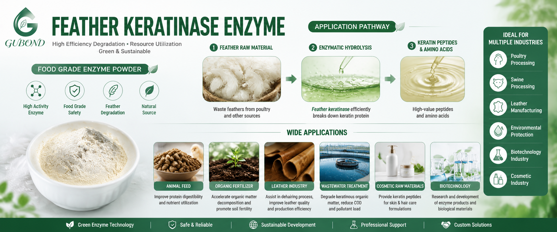 Feather Keratinase (6)