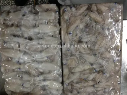 wild caught fresh baby squid BQF or IQF