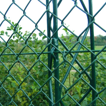 PVC Coated Chain Link Fencing