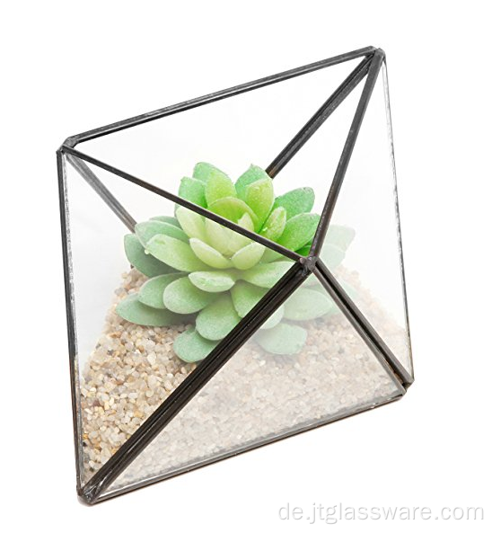 Geometrischer Terrarienbehälter aus Glas für Pflanzen