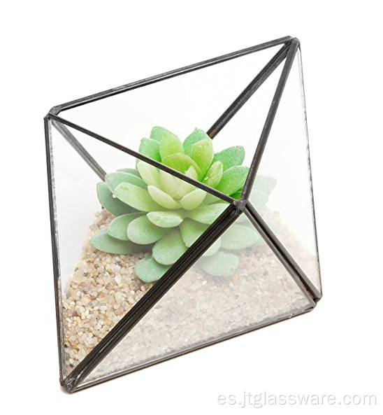 Recipiente de terrario de vidrio geométrico vegetal
