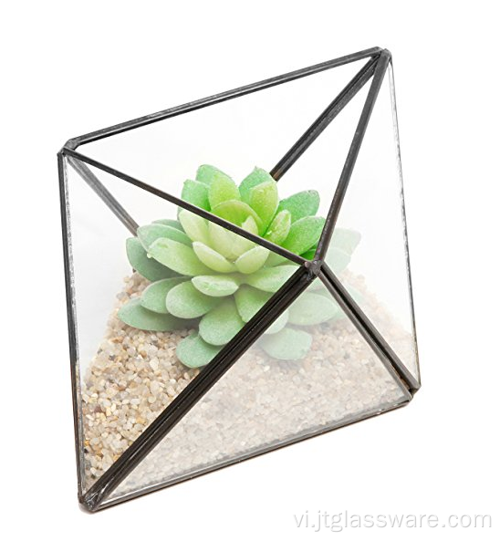 Thực vật thủy tinh hình học Container Terrarium