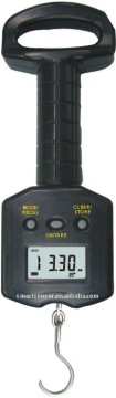 Digital Scale AR885