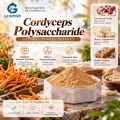 Cordyceps Polysaccharide 20%–60% Extracto en polvo para formulaciones cosméticas y alimentarias