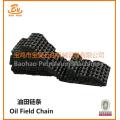 API Standard Transmission Chains for Oil Drilling Rig