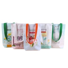 Color printed DuPont gift paper bag