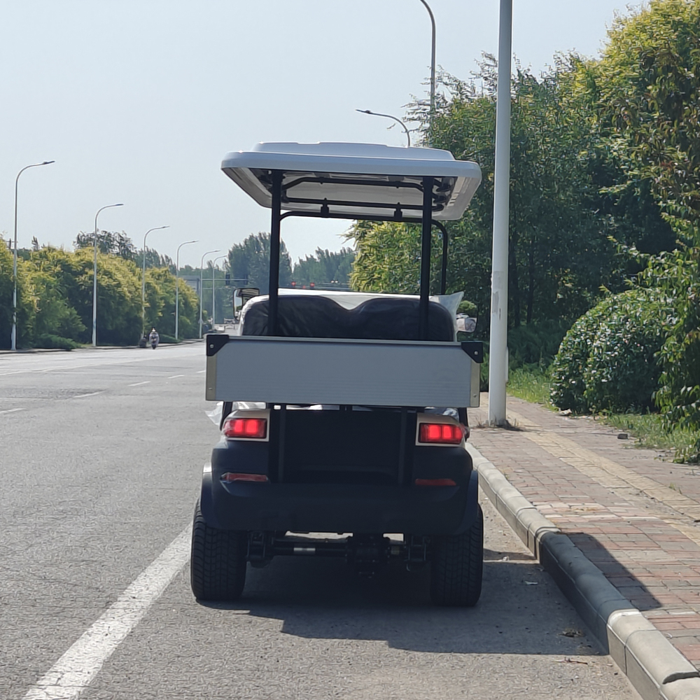 6 seat golf cart with bucket