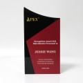 APEX Red Custom Brushed Finish Acryl Award Plakette