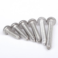 Phillips Cross Recessed Pan Head Self-Tapping Screws