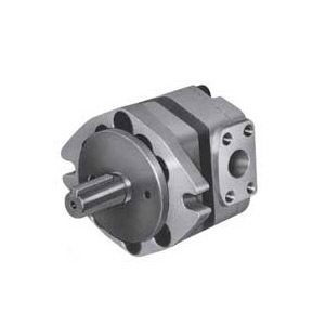 Toyooki Internal gear pump