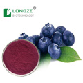 Direct Sales Bilberry Fruit Powder