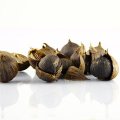 Designer Foods Program for black garlic