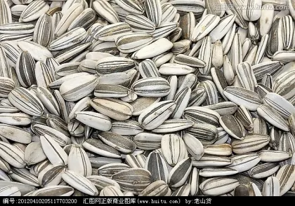 Tasty Dry Sunflower Seeds