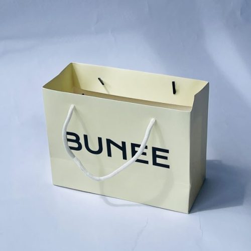 Shopping Paper Bags with Custom Logo and Ribbon