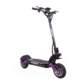 10inch offroad electric scooter