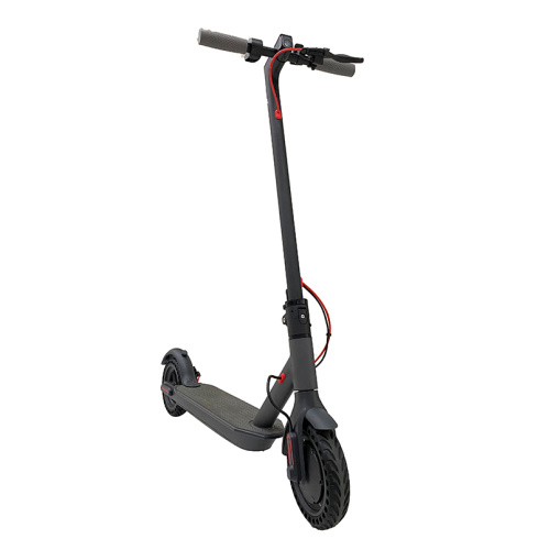 New Design OEM Citysports Electric Scooter