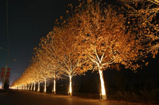 Lawn Lights On The Roadside Outdoors