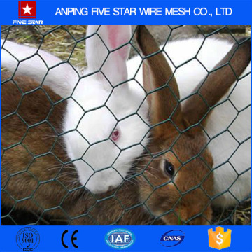 Hot Dipped Hexagonal Wire Mesh For Rabbit Cage From Anping