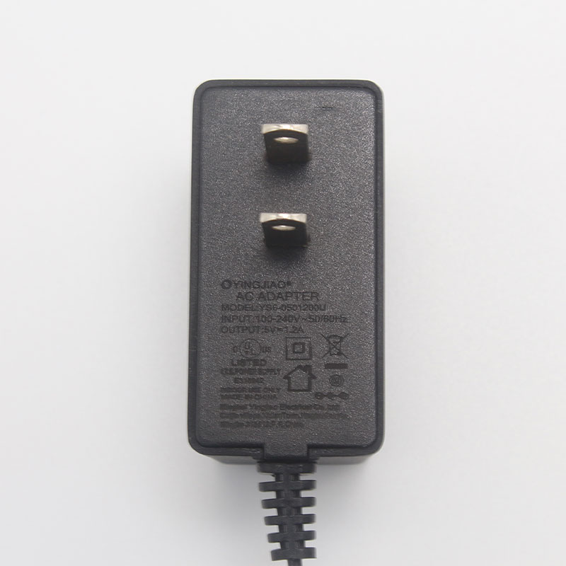 Custom 6W 24V 250mA power adapter AC Adapter