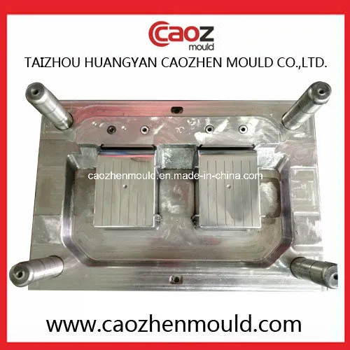 Hot Selling/Two Cavity Plastic Injection Bin Mould