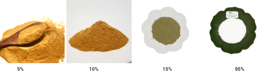 andrographis paniculata extract powder
