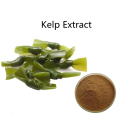 Buy online active ingredients Kelp Extract powder