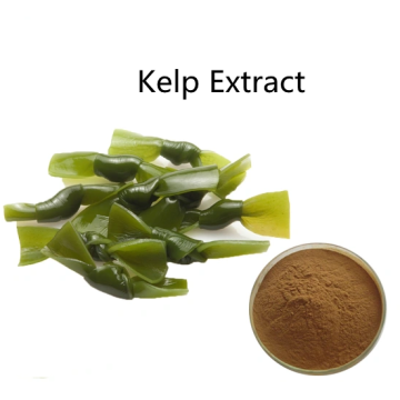 Buy online active ingredients Kelp Extract powder