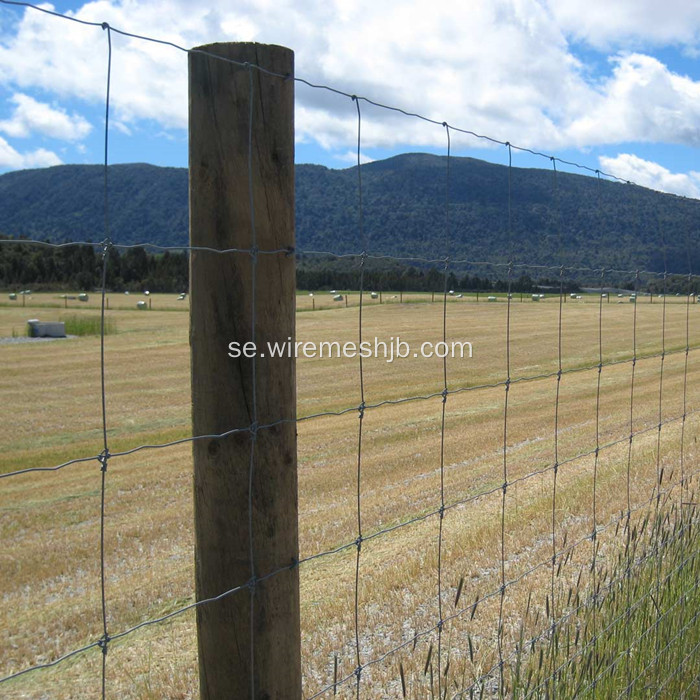 Hot Dipped Galvanized Field Wire Fäktning