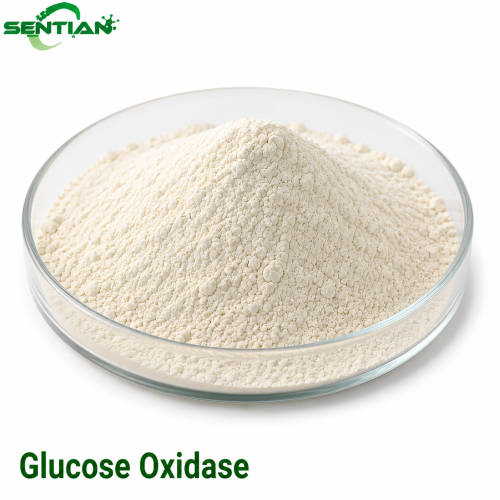 Glucose Oxidase Enzyme for Gut Health & Mycotoxin Control