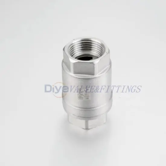 Stainless steel vertical spring check valve