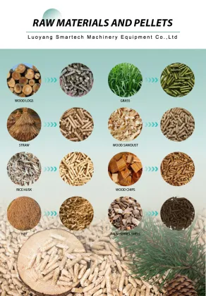 Biomass Wood Pellet Production Line for High Quality Fuel Pellets