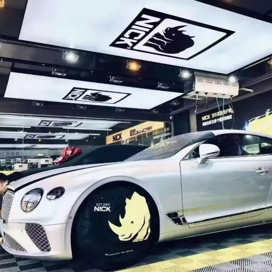 600x600 LED Ceiling Stand Light for Car Detailing