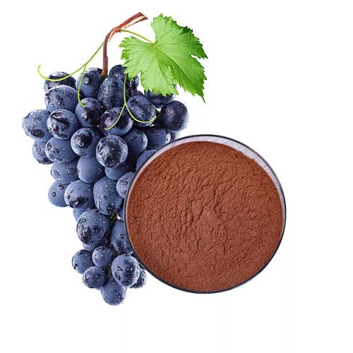Natural OPC95% Grape Seed Extract ISO Certified ​Antioxidant 95%OPC Proanthocyanidins Manufactory