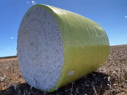Accelerate the progress of cotton picking and launch the convenient cotton baling film to add power to agriculture