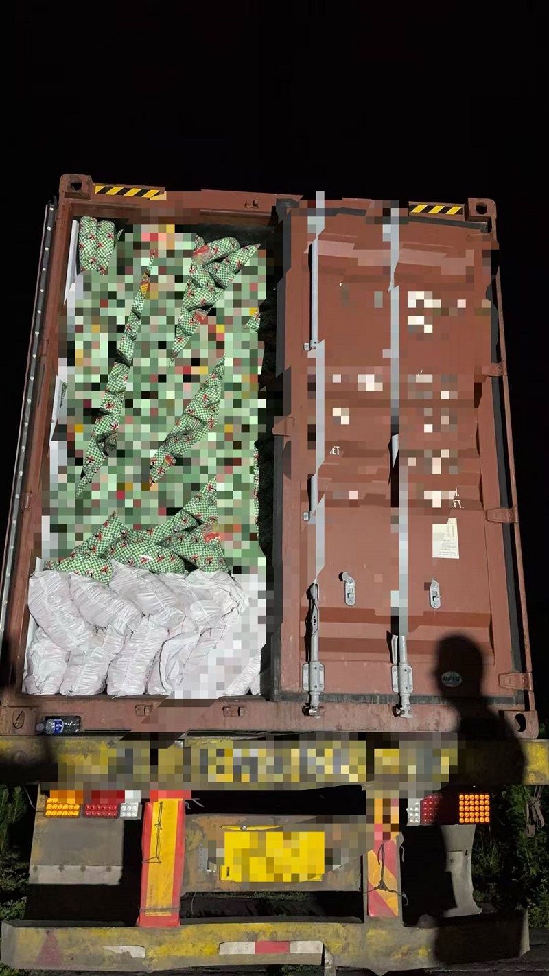 Four Containers Ready to Ship! Rislife Sets New Record, Accelerating Global Market Expansion