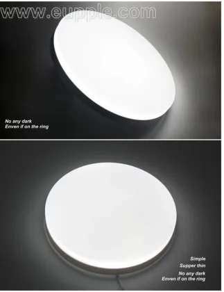 Wholesales daylight LED ceiling light ,hot sale make in china best price dalen led ceiling light, restaurant Ceiling light