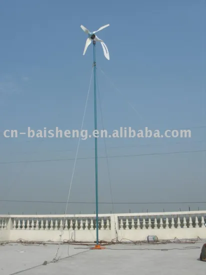 300 W Wind turbine Generator Set