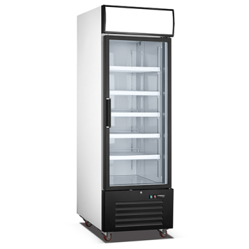 Commercial Upright Beverage Cooler with Glass Door
