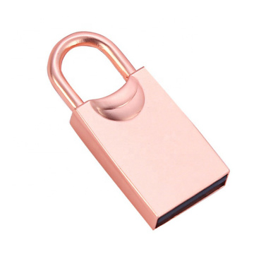 Hoge kwaliteit metalen sleutel slot USB -flitsschijf