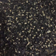 Qinghai Chaidamu High Grade Luzem Black Goji Berry