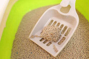 2.0MM Deodorizing Colored Ball Sand