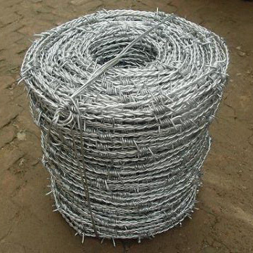 Hot Sale Hot Dipped Galvanized Barbed Wire