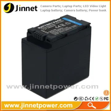 Professional Cgr-d54s D54s Camcorder Battery For Panasonic With Competitive Price 