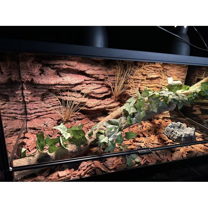 Solución de fondo de vivarium de reptiles premium