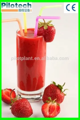 small dairy milk pasteurization machine