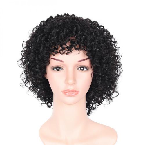 100% NATURAL VIRGIN REMY HUMAN HAIR SHORT CURLY WIG