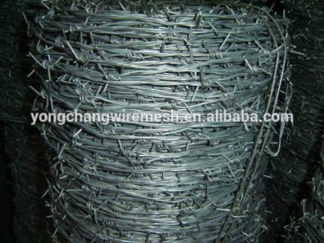 Zinc Coated Barbed Wire