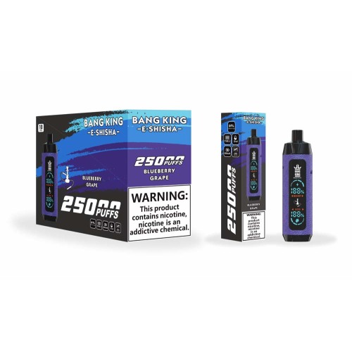 Bang King Shisha 25000 Puffs Vapes Dipeluk Borong
