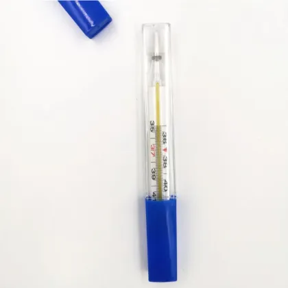 Medical Hospital Mercury Glass Thermometer